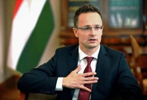 Ганна Новосад не підтримала пропозиції угорської сторони