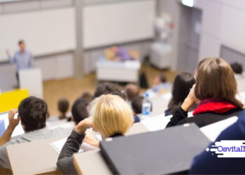 Образование в Польше государственный университет или частный - OsvitaIN