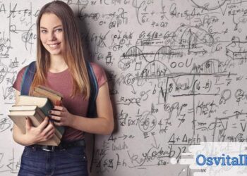 Техникумы и лицеи Польши: особенности образования Техникумы и лицеи Польши для украинцев особенности - OsvitaIN