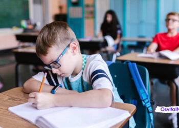 Посещение школ в Польше станет обязательным для украинцев - OsvitaIN