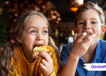 Харчування для навчання що покласти на перекус в школу - OsvitaIN