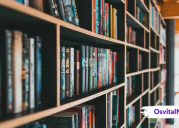 Обзор литературы при написании научной статьи - OsvitaIN